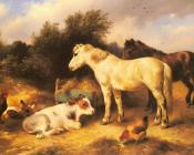 Ponies, A Calf and Poultry In a Farmyard - 沃尔特·亨特
